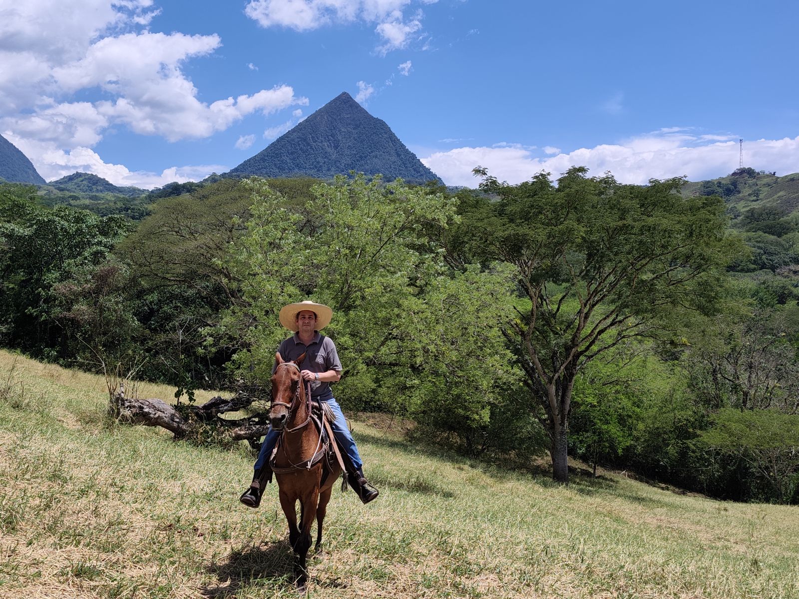 Cristian Halaby a caballo en un potrero arborizado, con un cerro piramidal al fondo
